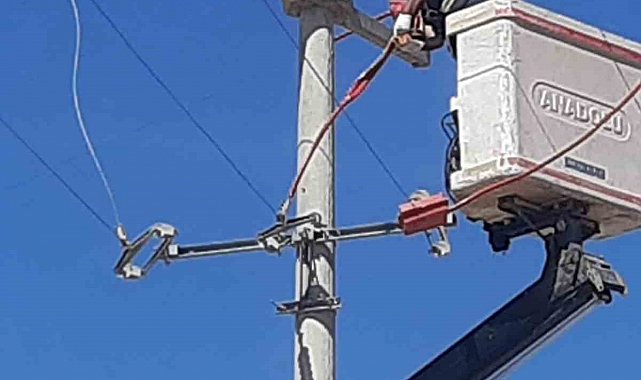 Toroslar EDAŞ, hatlarını yalıtarak kuşların çarpılmasını önlüyor